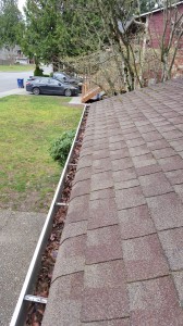 gutter cleaning before     